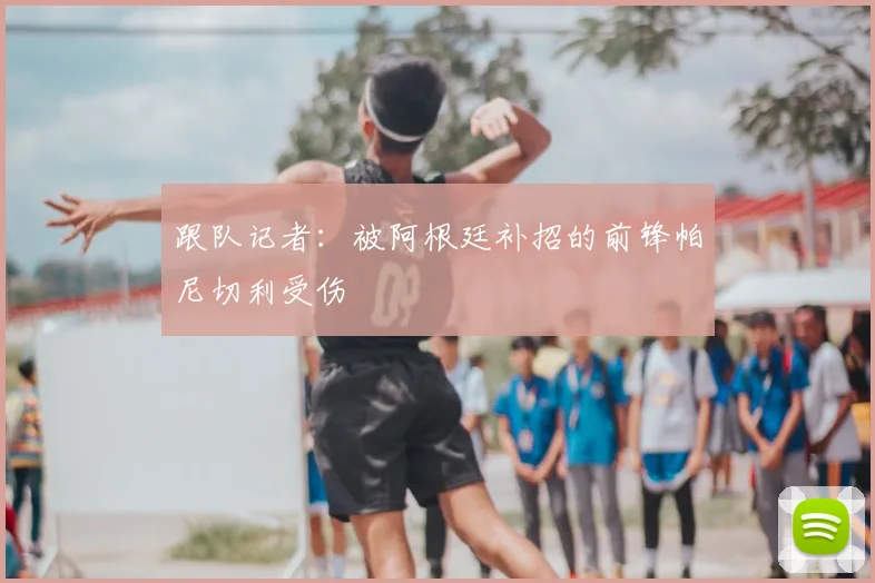 跟队记者：被阿根廷补招的前锋帕尼切利受伤