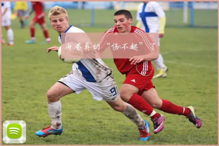 海港真的“伤不起”了