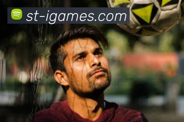 爱游戏服务体系